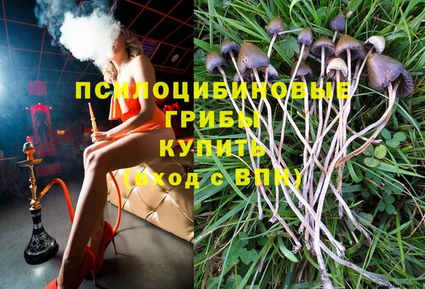 ALPHA-PVP Богданович
